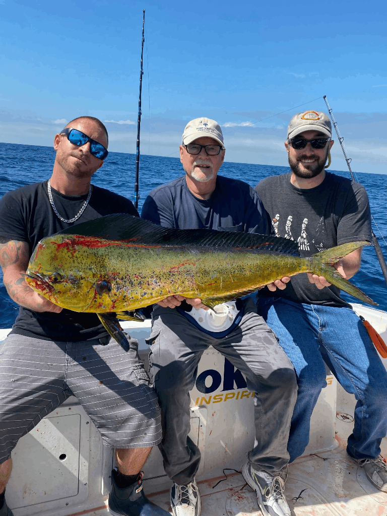 Mahi Mahi From New Jersey
